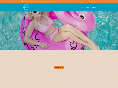 travelmusicexperience.com snapshot