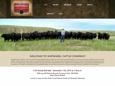 shipwheelcattle.com snapshot