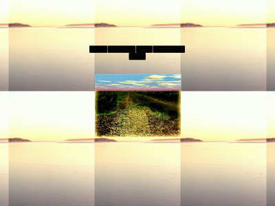 totemtunes.se snapshot