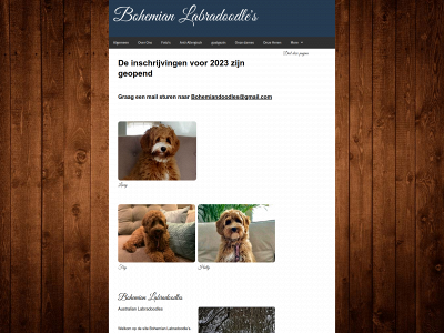 bohemianlabradoodles.nl snapshot