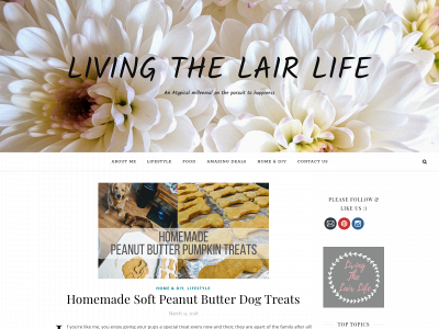 livingthelairlife.com snapshot