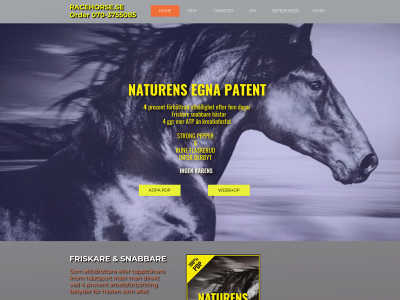 racehorse.se snapshot