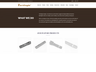 tacteagle.com snapshot