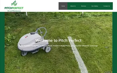 pitchperfectlinemarking.com snapshot