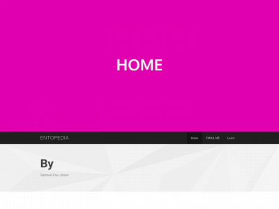 thefoxjonesrtx.weebly.com snapshot