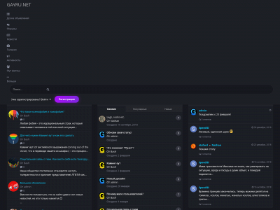 gayru.net snapshot