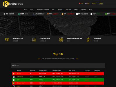 kriptoservis.com snapshot