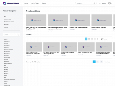 realmstream.com snapshot
