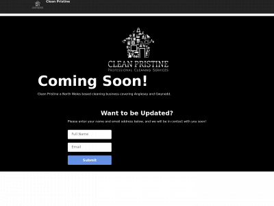 clean-pristine.co.uk snapshot