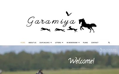 garamiyas.se snapshot