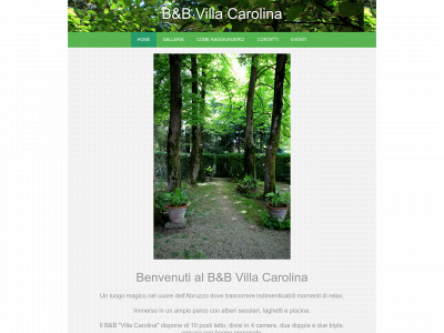 vcarolina.com snapshot