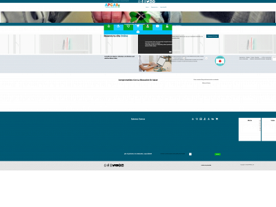 apgarx.com snapshot