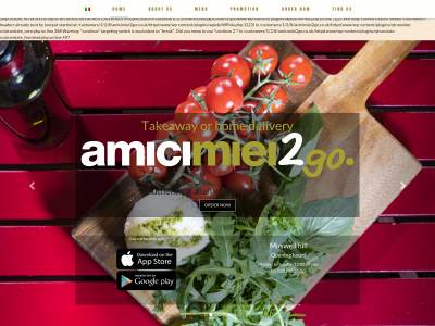 amicimiei2go.co.uk snapshot