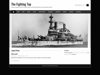 thefightingtop.com snapshot