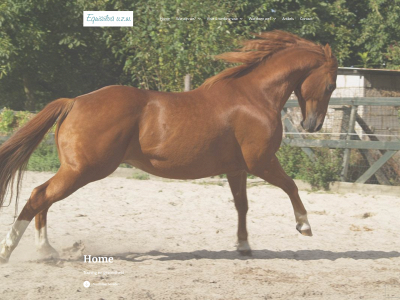 equisilva.be snapshot