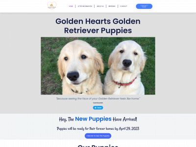 goldenheartspuppies.com snapshot