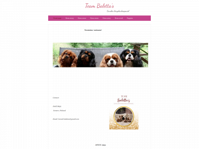 teambalettas.fi snapshot