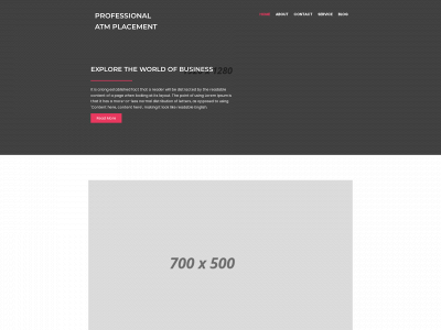 professionalatmplacement.com snapshot