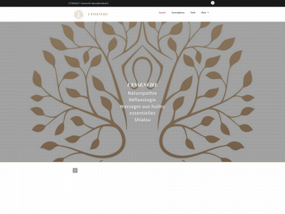 lessenciel-naturo.fr snapshot