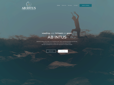 abintus.nl snapshot