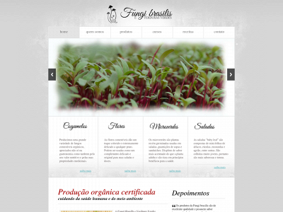 fungibrasilis.com.br snapshot