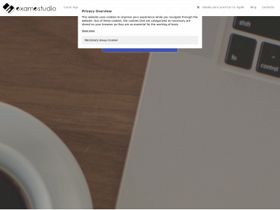 examestudio.com snapshot