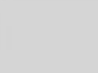 omtt.com snapshot
