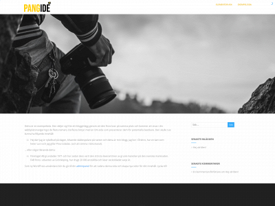 pangide.se snapshot