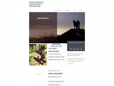 lindestroemgaard.dk snapshot