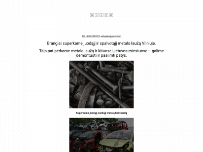 lauzas.lt snapshot