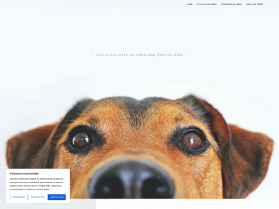 tenerunperro.es snapshot