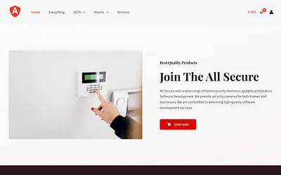 all-secure.org snapshot