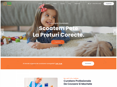 ecocuratenie.ro snapshot