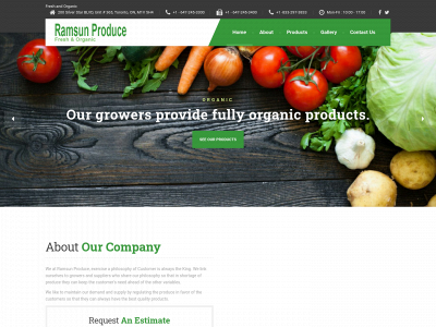 ramsunproduce.com snapshot