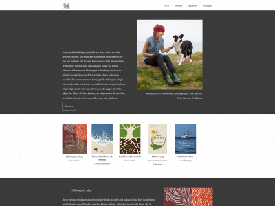 videforlag.se snapshot