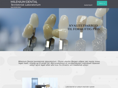 mileniumdental.no snapshot