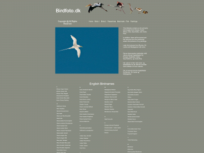 birdfoto.dk snapshot