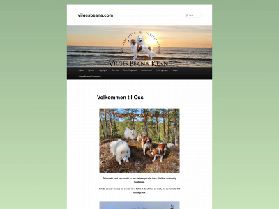 vilgesbeana.com snapshot