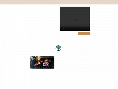 forestart.be snapshot