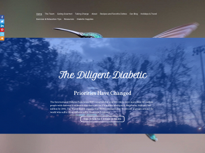 thediligentdiabetic.com snapshot