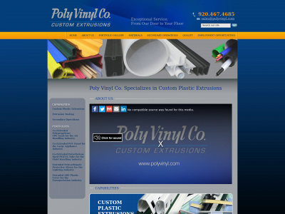 polyvinyl.com snapshot