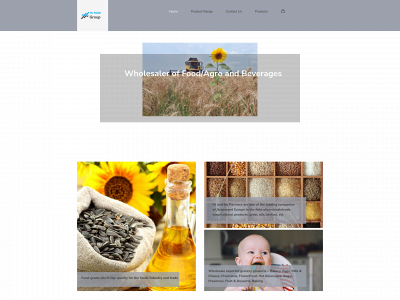 hj-foodgroup.nl snapshot