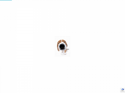 mascotas-clinic.es snapshot