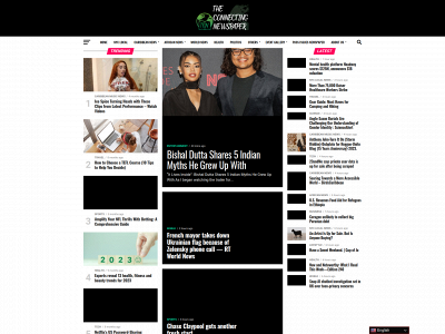 theconnectingnewspaper.com snapshot