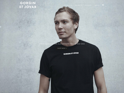 gorginetjovar.dk snapshot