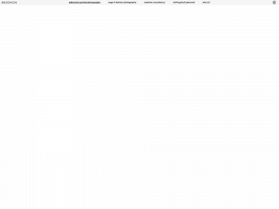 brodhun.com snapshot