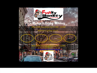 michaelsfunkymonkey.com snapshot