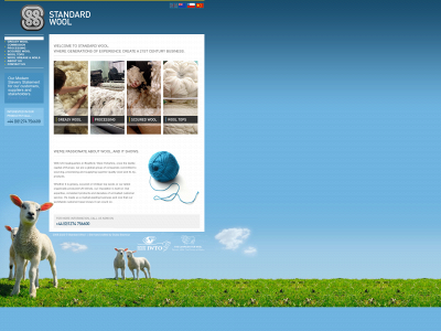 standardwool.co.uk snapshot