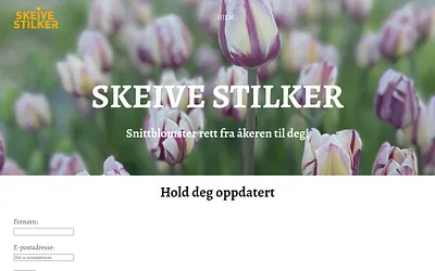 skeivestilker.no snapshot