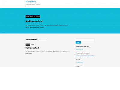transpoding.com snapshot